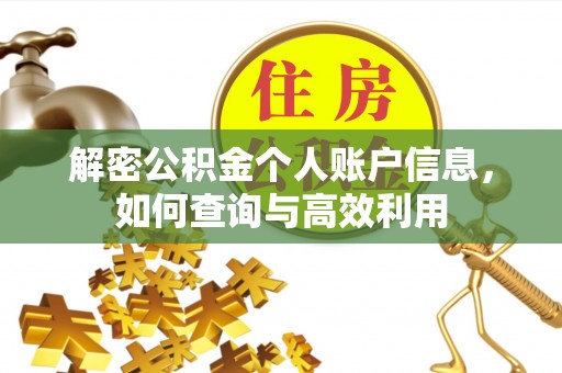 屏东解密公积金个人账户信息，如何查询与高效利用