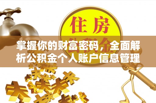 屏东掌握你的财富密码，全面解析公积金个人账户信息管理与优化