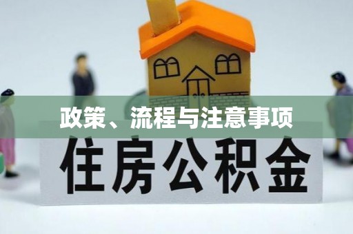 屏东政策、流程与注意事项