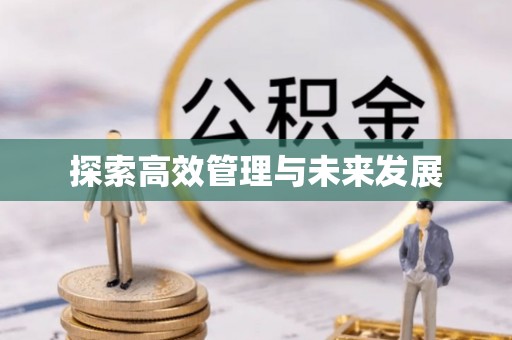 屏东探索高效管理与未来发展