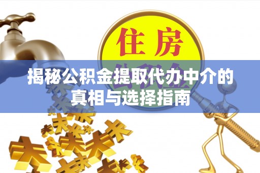 屏东揭秘公积金提取代办中介的真相与选择指南