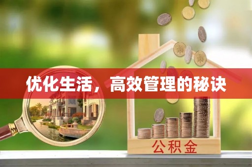 屏东优化生活，高效管理的秘诀