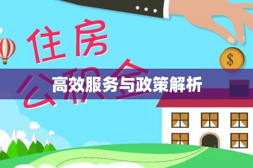 屏东高效服务与政策解析