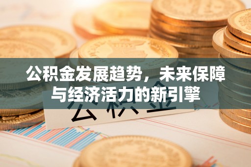屏东公积金发展趋势，未来保障与经济活力的新引擎
