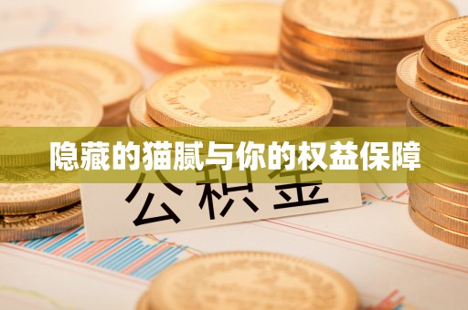 屏东隐藏的猫腻与你的权益保障