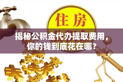 屏东揭秘公积金代办提取费用，你的钱到底花在哪？