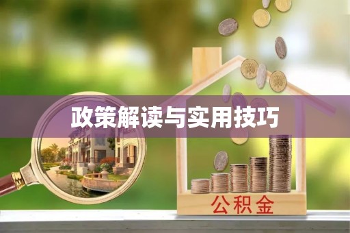 屏东政策解读与实用技巧