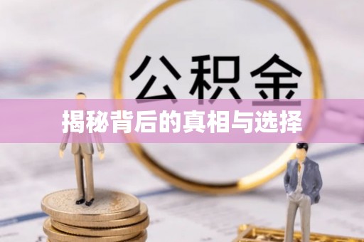 屏东揭秘背后的真相与选择