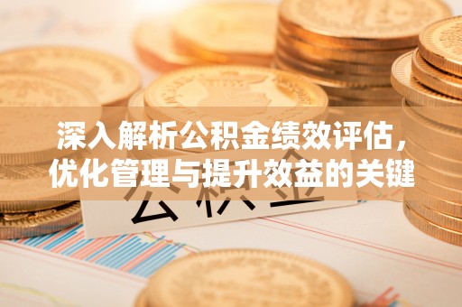 屏东深入解析公积金绩效评估，优化管理与提升效益的关键路径