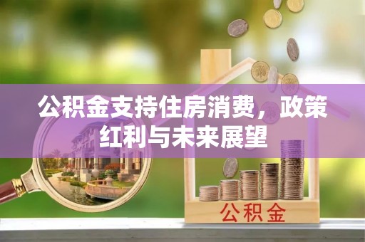 屏东公积金支持住房消费，政策红利与未来展望