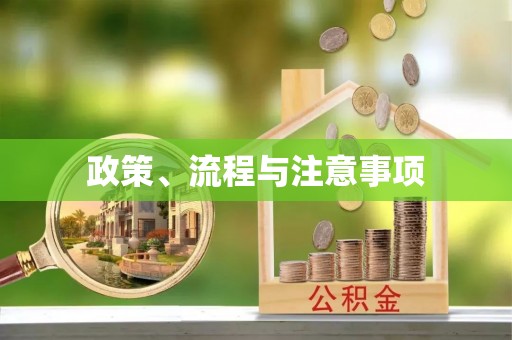 屏东政策、流程与注意事项