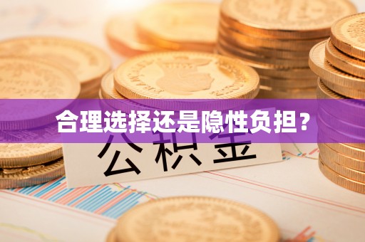屏东合理选择还是隐性负担？