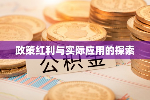 屏东政策红利与实际应用的探索