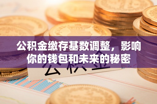 屏东公积金缴存基数调整，影响你的钱包和未来的秘密