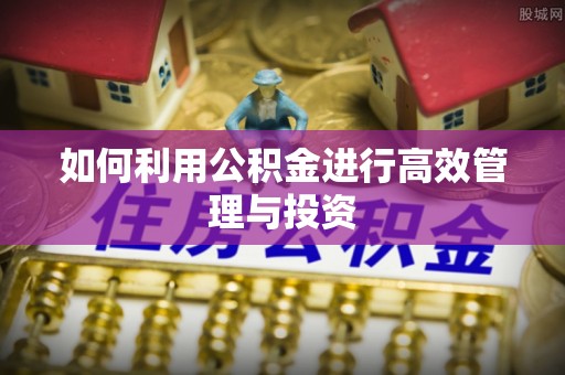 屏东如何利用公积金进行高效管理与投资