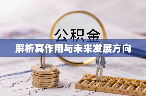 屏东解析其作用与未来发展方向