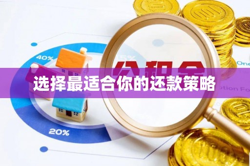 屏东选择最适合你的还款策略
