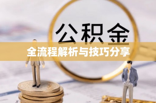 屏东全流程解析与技巧分享