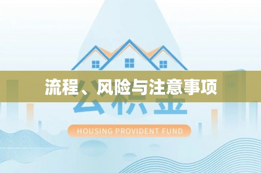 屏东流程、风险与注意事项